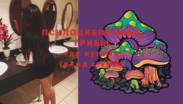 а пвп мука Белокуриха