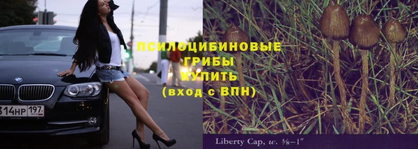 хмурый Белоозёрский