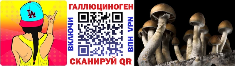 Псилоцибиновые грибы Cubensis  mega ССЫЛКА  Няндома 